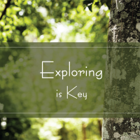 Exploring is Key Exploring is Key